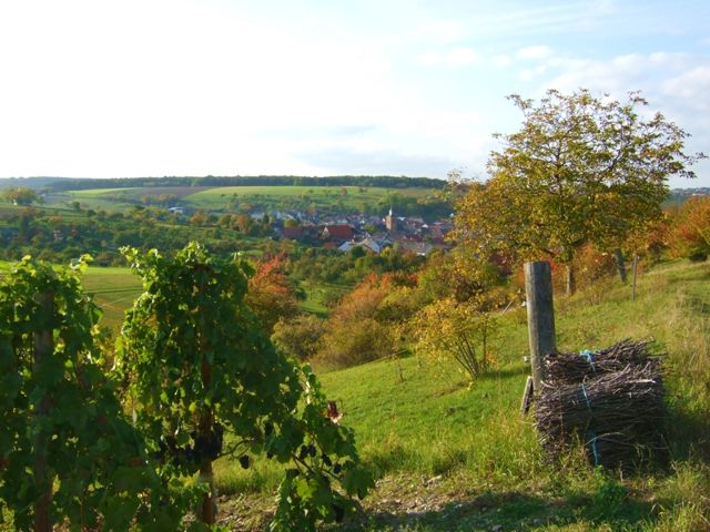 Herbst 2012 – Foto 4