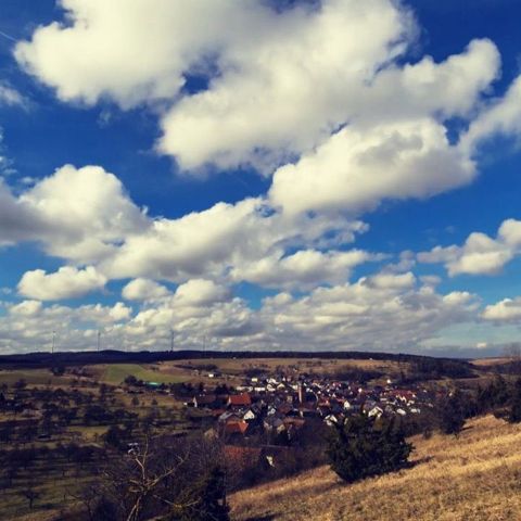Wishing you a wonderful start of the week. . . . . . . . . #spring #nature #timelapse #videooftheday #justgooutside