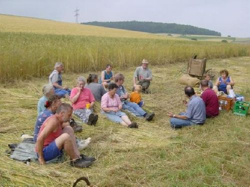 Grünkernernte 2003 – Foto 7