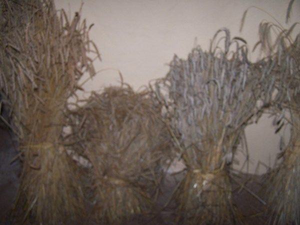 Einweihung Heimatmuseum 2007 – Foto 12