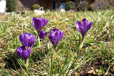 Hello #spring! 🤗☀️🌷🌼
