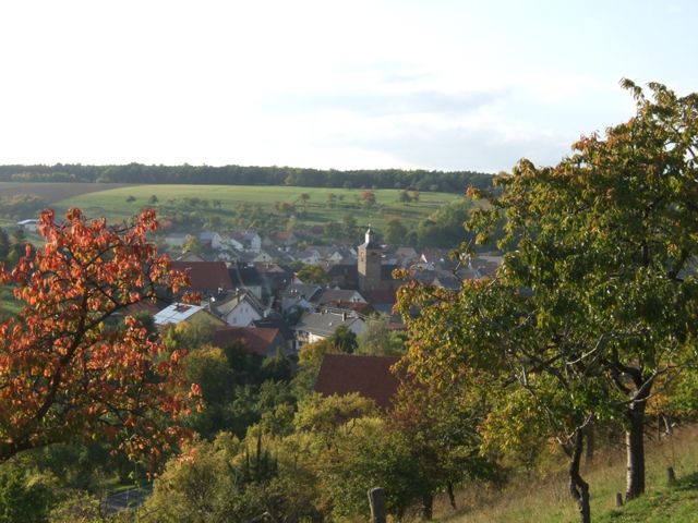 Herbst 2012 – Foto 6
