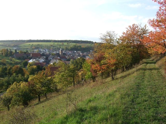 Herbst 2012 – Foto 8