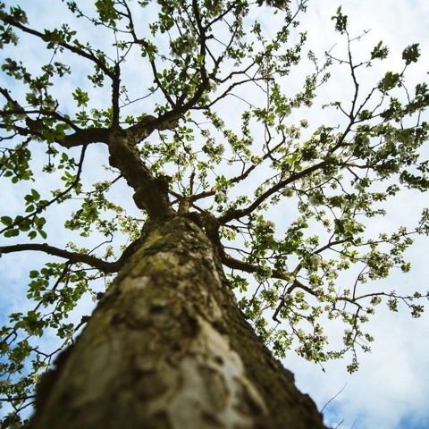 #Spring is here 🤗 . . . . #weekend #goodlife #spring #nature