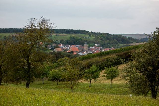 Herbst 2014 – Foto 6