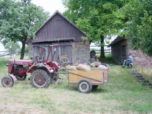 Grünkernernte 2003 – Foto 8