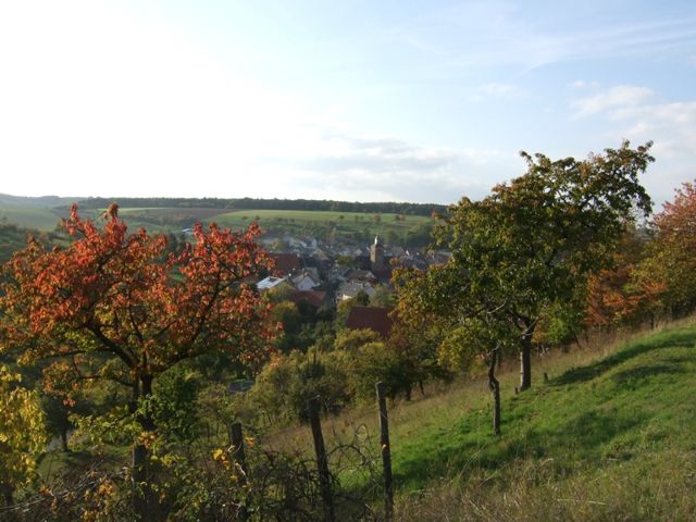 Herbst 2012 – Foto 7